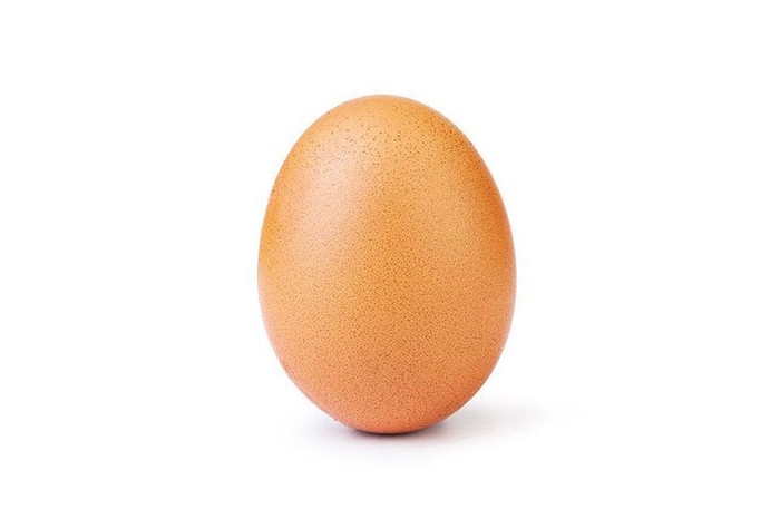 telur ayam